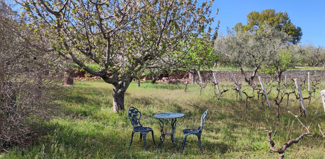 Il Vigneto Sole&Luna Con Piscina Privata Martina Franca Eksteriør billede