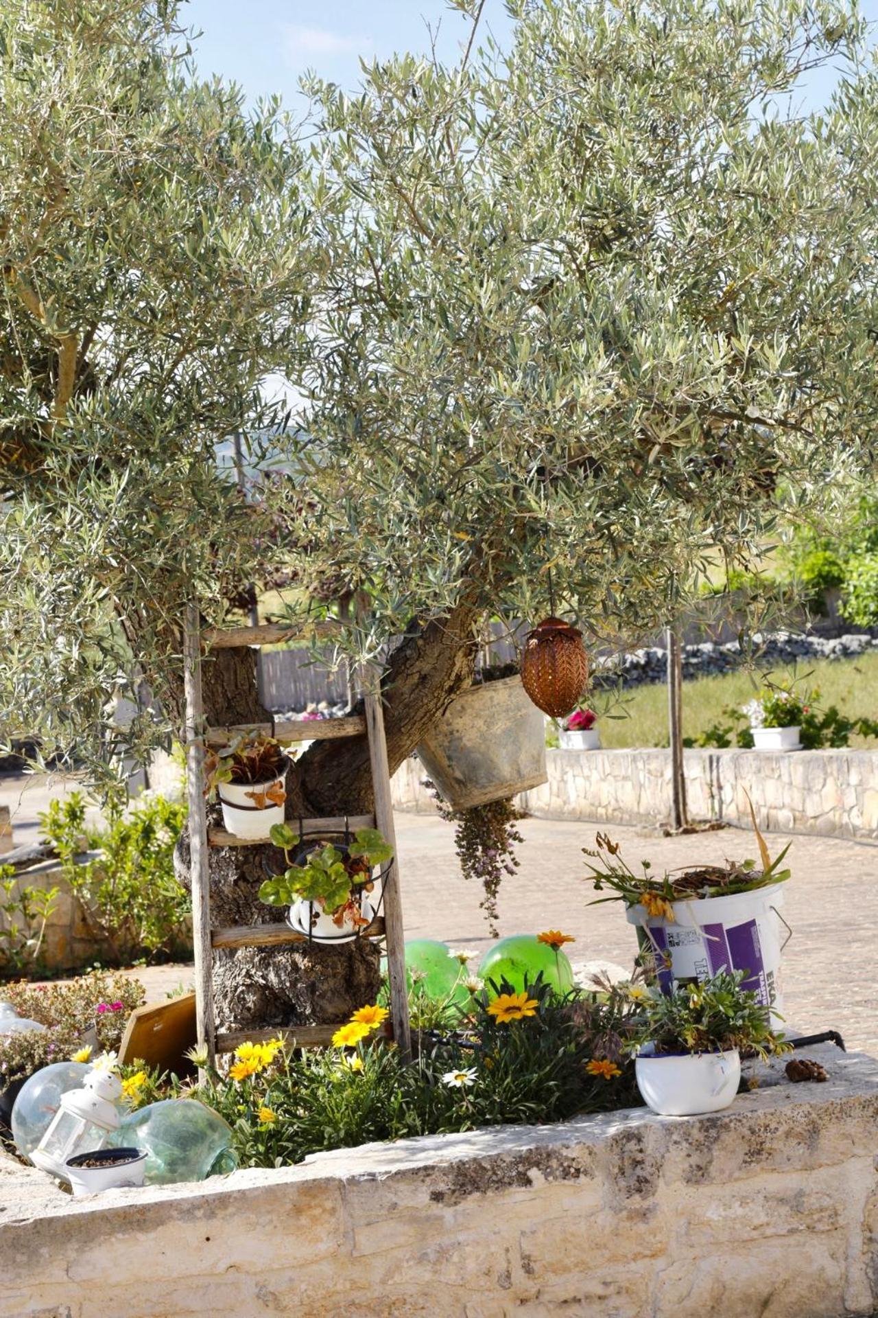 Il Vigneto Sole&Luna Con Piscina Privata Martina Franca Eksteriør billede